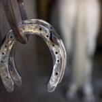 Regularly Cleaning Hooves